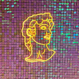 Skap en varm og innbydende atmosfære med vårt elegante 'david' led neonskilt i varmhvit. Dette stilfulle skiltet med david-bysten gir en klassisk touch til enhver innendørs setting.