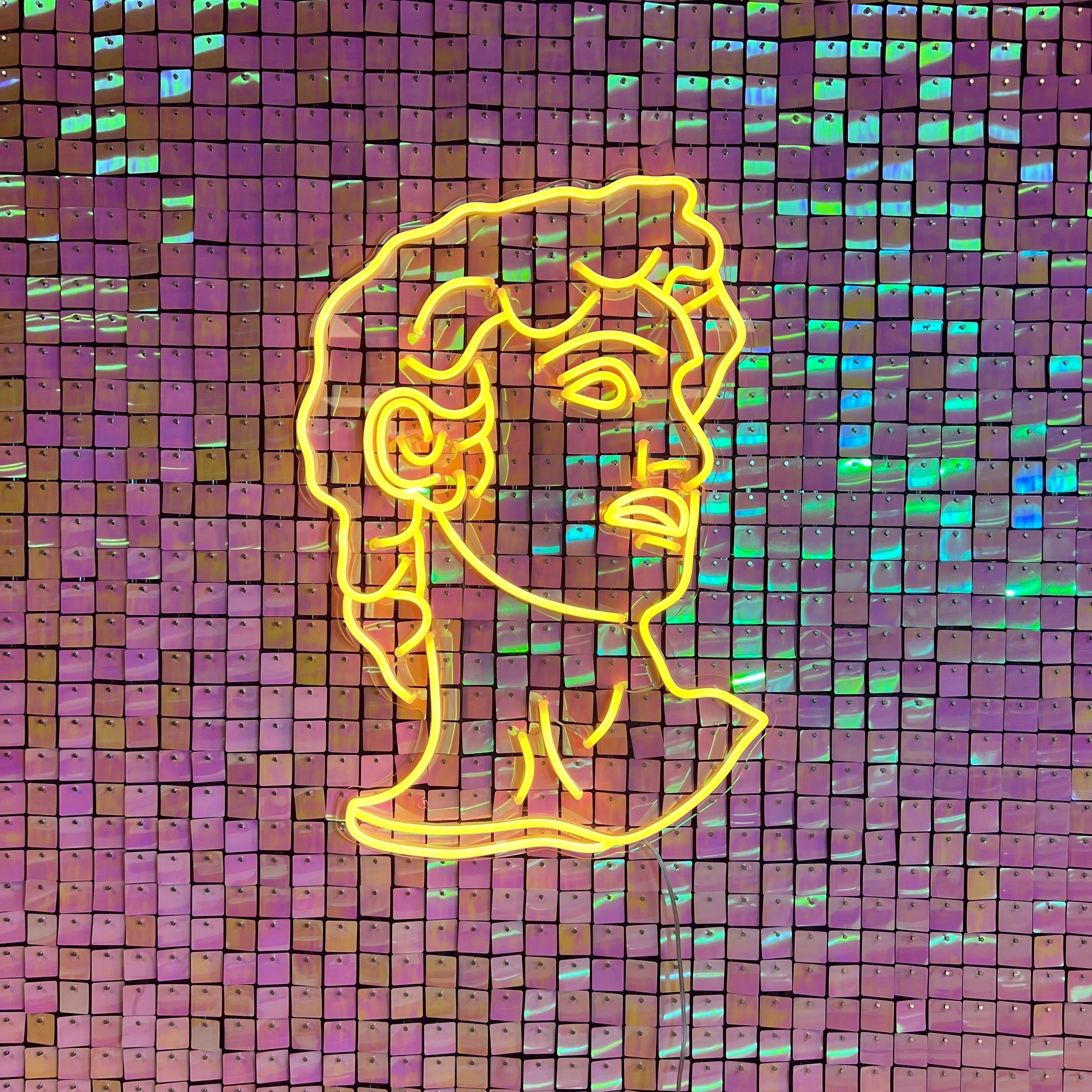 Skap en varm og innbydende atmosfære med vårt elegante 'david' led neonskilt i varmhvit. Dette stilfulle skiltet med david-bysten gir en klassisk touch til enhver innendørs setting.