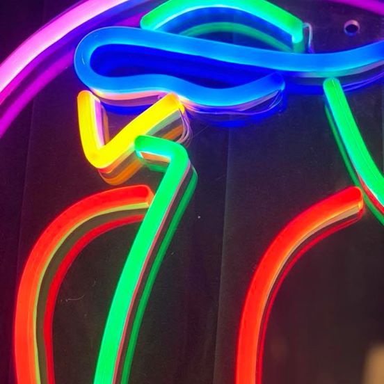 Detalj av LED neonskilt: papegøye-form i fargerike neonrør