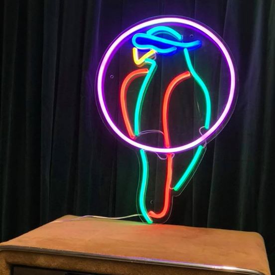 LED neonskilt med papegøye i neonfarger, rund kontur