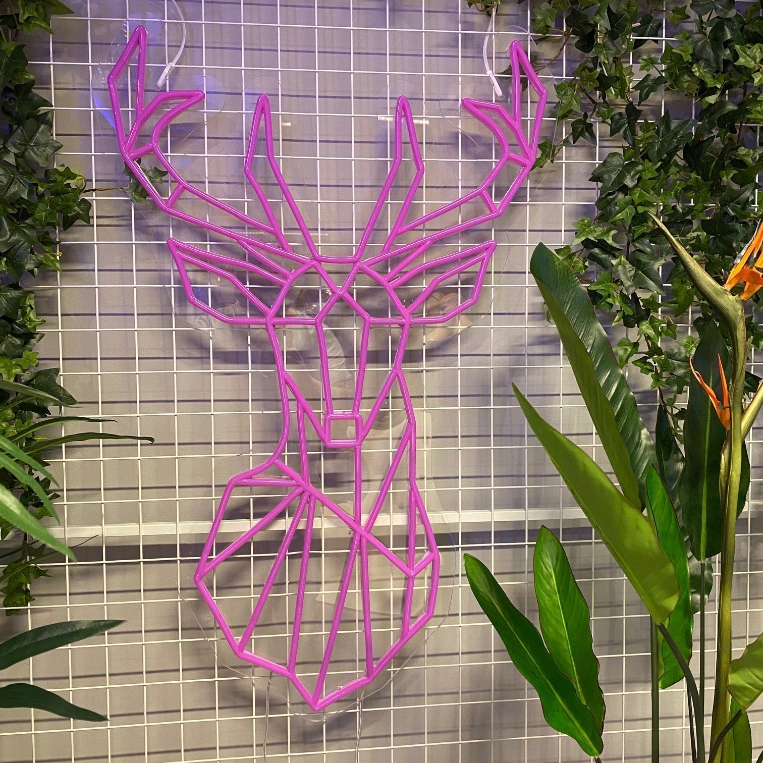 LED neonskilt med hel hjortfigur i hot pink