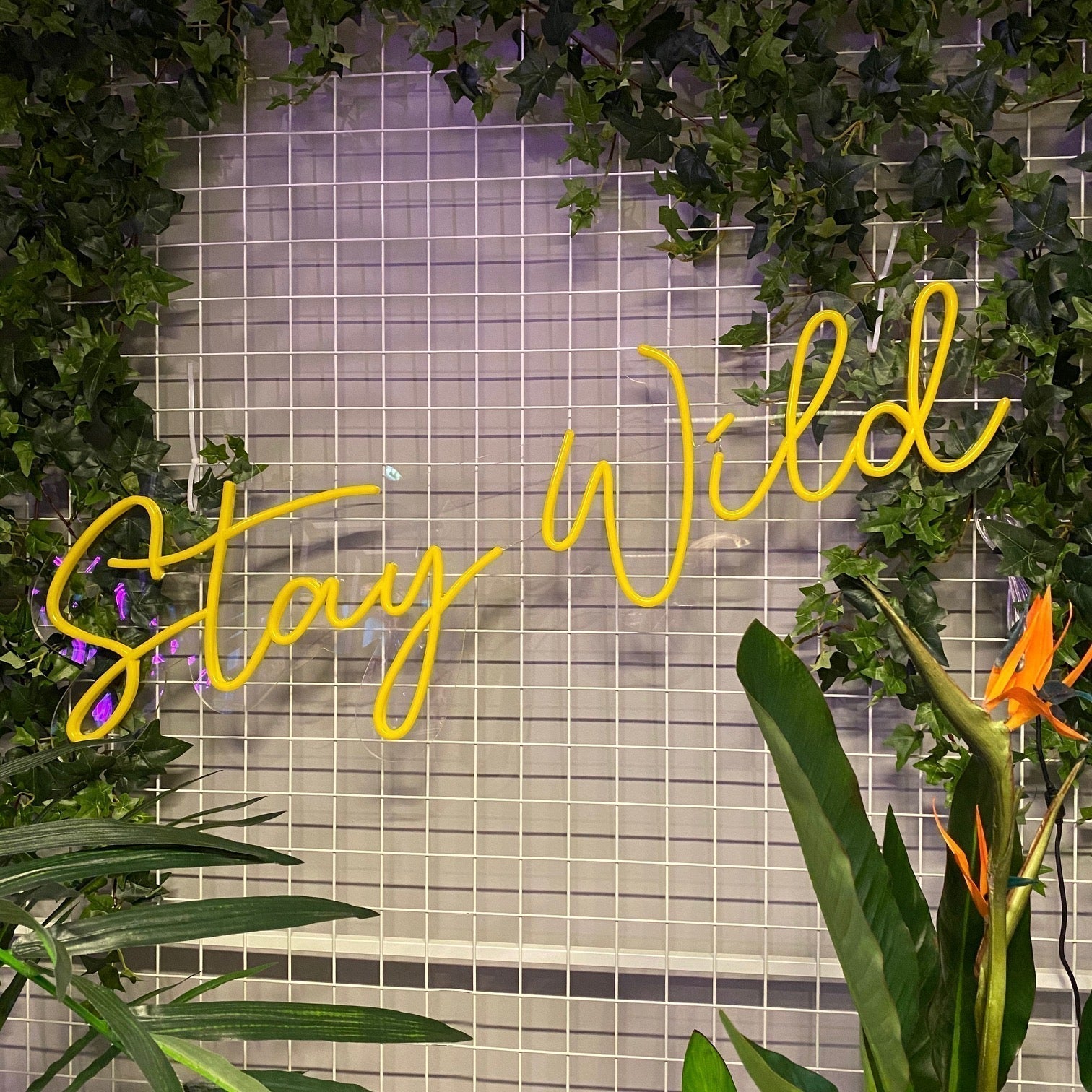 LED neonskilt med «Stay Wild» i gult lys
